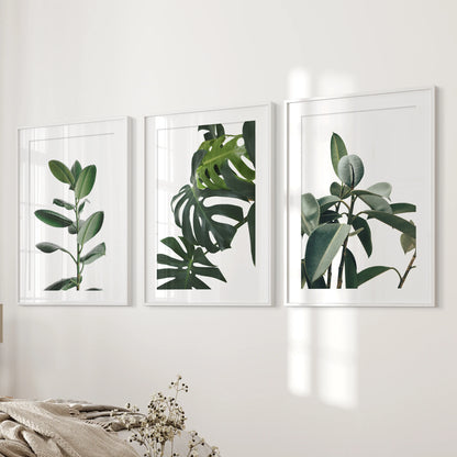 Tropical foliage close-ups, a three-piece picture set with white mat frames, layer soft greens across the bedroom wall for a serene, tailored backdrop.