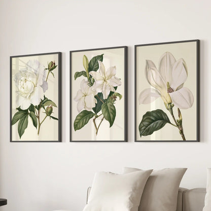 Above a sofa, three black-framed prints show white flowers and leafy stems.