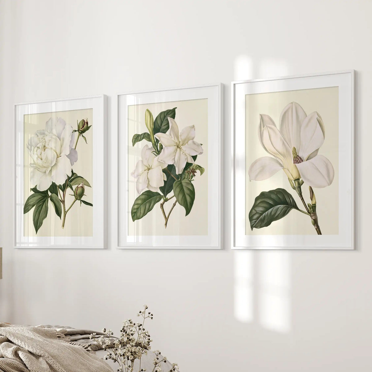 White frames and mats border three flower studies beside a bed: a ruffled bloom with buds, smaller blossoms and a large open flower on cream.
