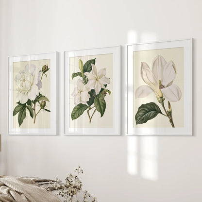 White frames and mats border three flower studies beside a bed: a ruffled bloom with buds, smaller blossoms and a large open flower on cream.