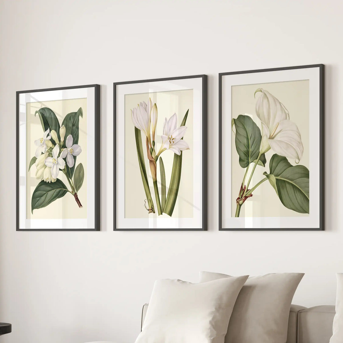 Three cream-backed floral prints hang above a sofa, framed in black with white mats.