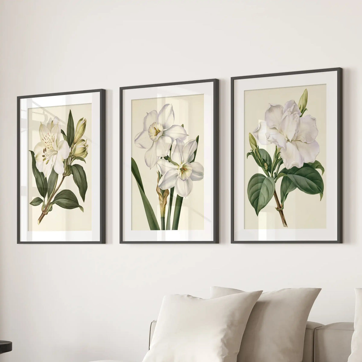 Black frames with white mats hold three white flower prints above a sofa.
