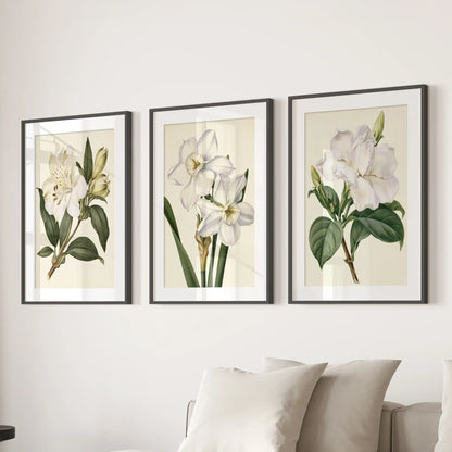 Black frames with white mats hold three white flower prints above a sofa.