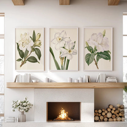 White blossoms and buds stand on green stems in three white-framed prints above the fireplace mantel, with yellow-centered narcissus in the middle.