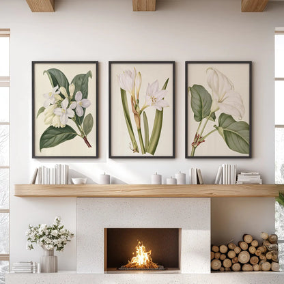 White blossoms and green leaves fill three black-framed prints above a fireplace.