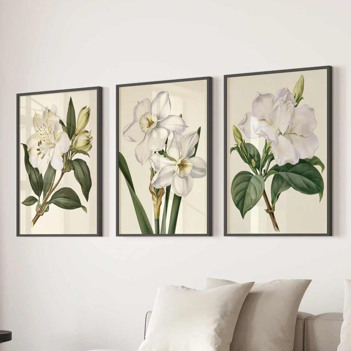 The three black-framed prints above a sofa show open white blossoms and closed buds on leafy stems, with yellow-centered narcissus in the middle.