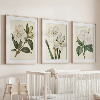 White flowers, including narcissus, appear in three matted oak frames above a crib.