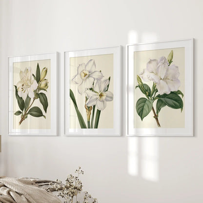 Beside a bed, three matted white frames display botanical flower prints.