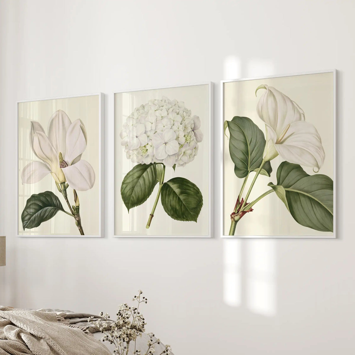 The central flower head is made up of many small white petals, between larger white blooms, across three white-framed prints beside a bed.