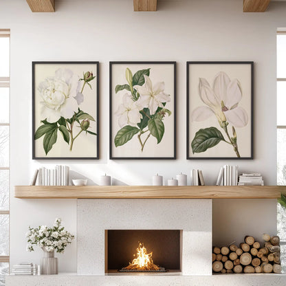 White flower studies hang in three black frames above a fireplace.
