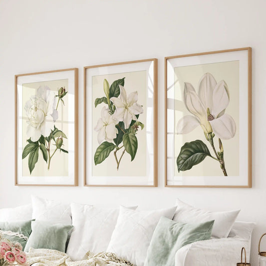 White mats surround three cream-backed floral studies above a sofa, with ruffled petals, small blossoms and a large open flower in oak frames.