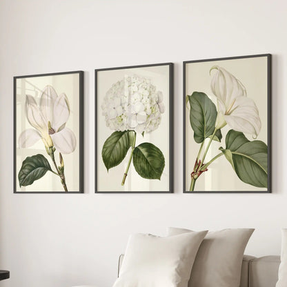 A rounded white hydrangea head sits between two larger open blossoms in three black-framed prints above a sofa, all on cream grounds.