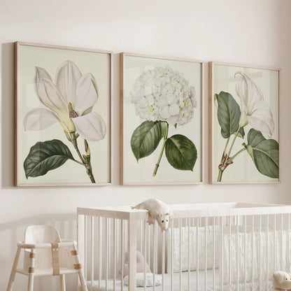 White botanical flowers fill three oak-framed prints above a nursery crib.