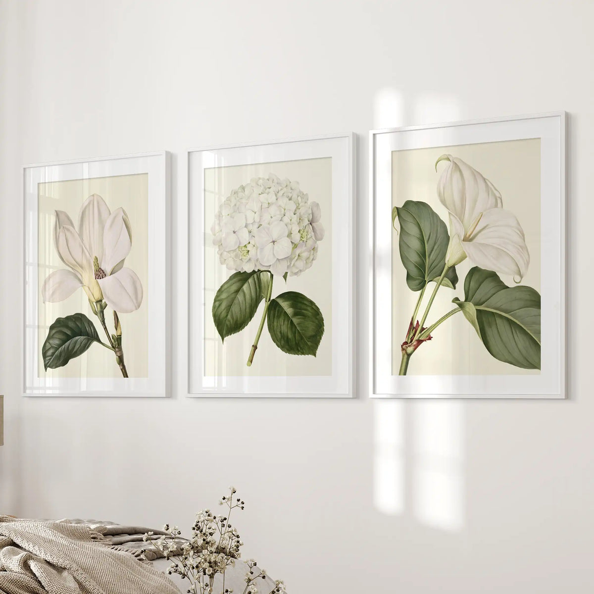 The three matted white frames beside a bed show a round hydrangea head between two flowering stems, with broad green leaves on cream.