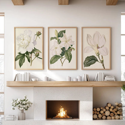 The three oak-framed prints above a fireplace show different white blossoms with dark green leaves, including a ruffled bloom with closed buds.