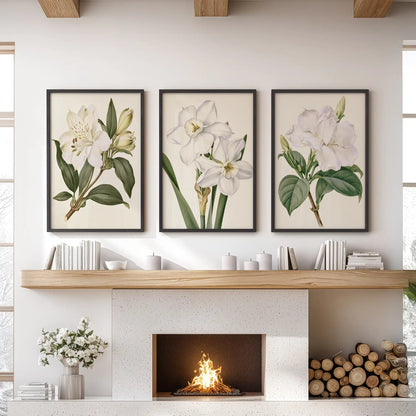 A set of three white narcissus and blossom prints in black frames above a fireplace.