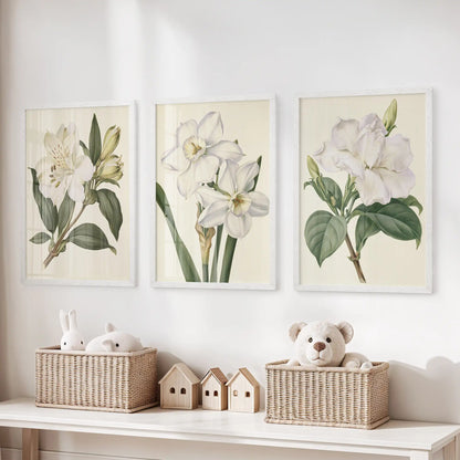 A central narcissus study and two leafy white flower prints hang above toy baskets in three white frames.