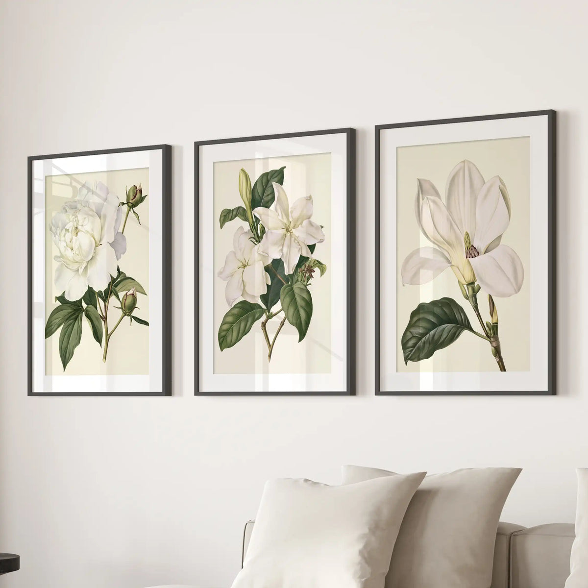 Deep green leaves contrast with white petals on cream grounds in three flower prints, surrounded by white mats and black frames above a sofa.