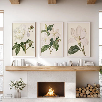 Cream backgrounds remain visible around white petals and deep green leaves in three white-framed prints above a fireplace.