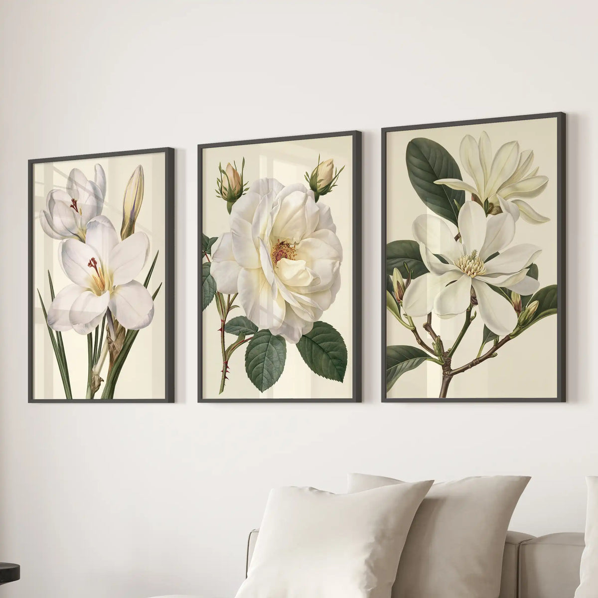 The middle of three black-framed prints above a sofa shows a layered white rose with buds; the outer prints show other white blossoms.