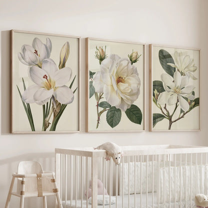 White botanical flowers fill three oak-framed prints above a nursery crib.