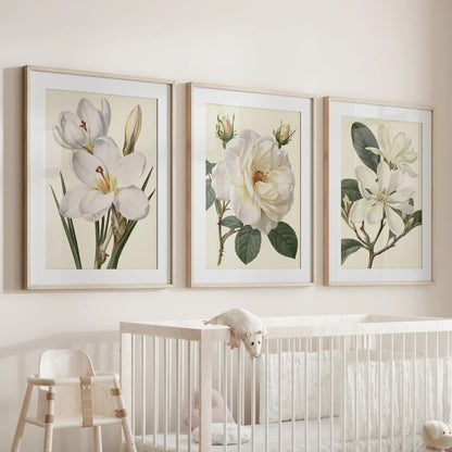 Oak frames with white mats surround three white botanical prints above a crib.