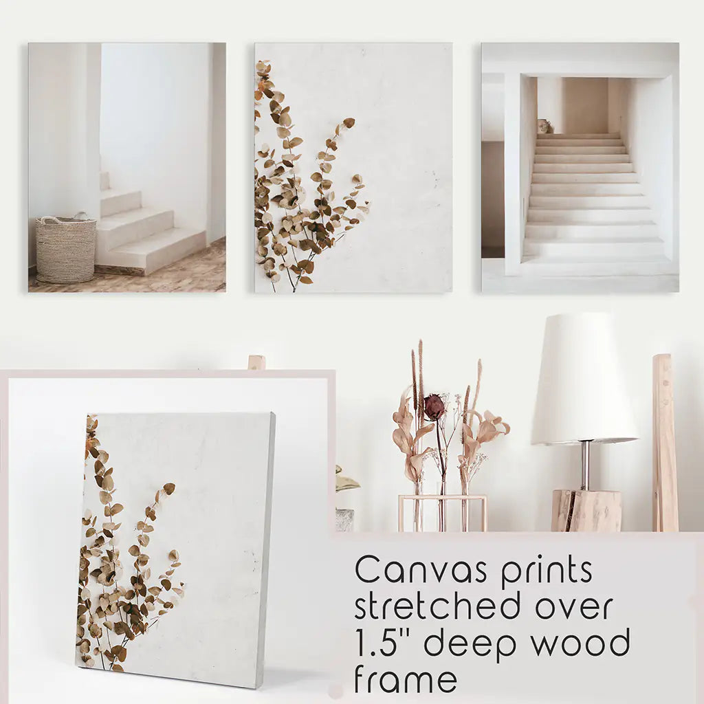 3 Pieces Beige Aestethic Set. Eucalyptus, Stairway. Canvas Prints