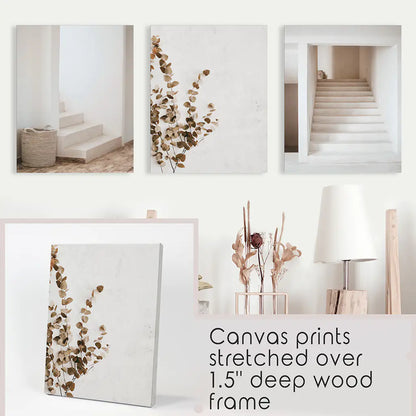 3 Pieces Beige Aestethic Set. Eucalyptus, Stairway. Canvas Prints