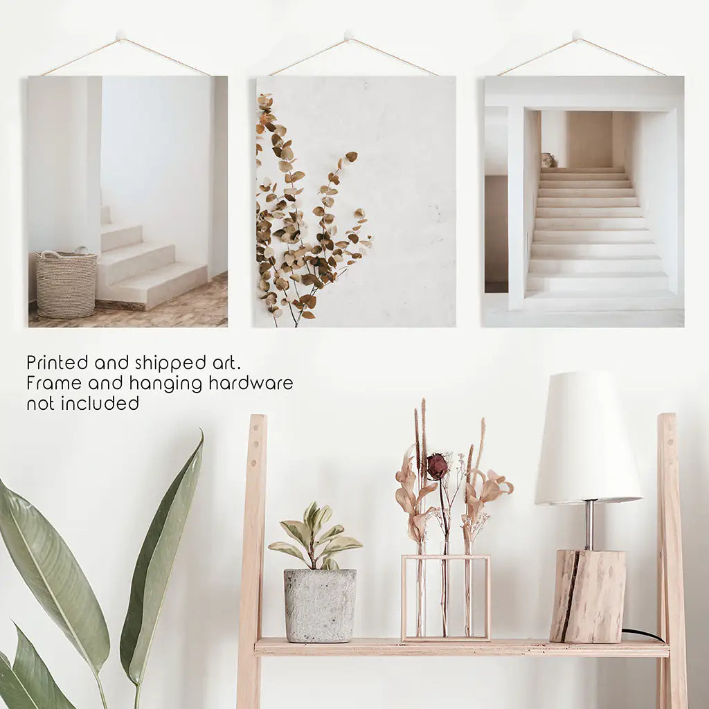 3 Pieces Beige Aestethic Set. Eucalyptus, Stairway. Unframed Prints