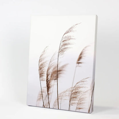 Beige Dried Grass Print. Summer Field. Canvas Print