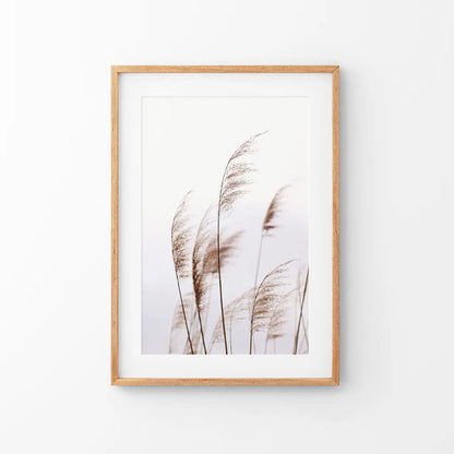 Beige Dried Grass Print. Summer Field. Thin Wood Frame with Mat