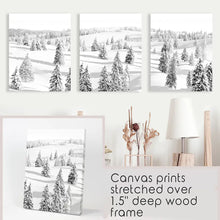 Load image into Gallery viewer, 3 Pieces Black White Winter Nordic Forest Wall Art Set. Canvas Prints
