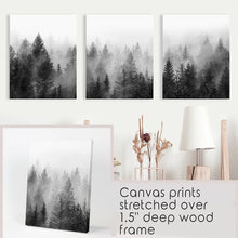 Load image into Gallery viewer, Black and White Foggy Pine Tree Forest Triptych. Set of 3 Wrapped Canvas Prints
