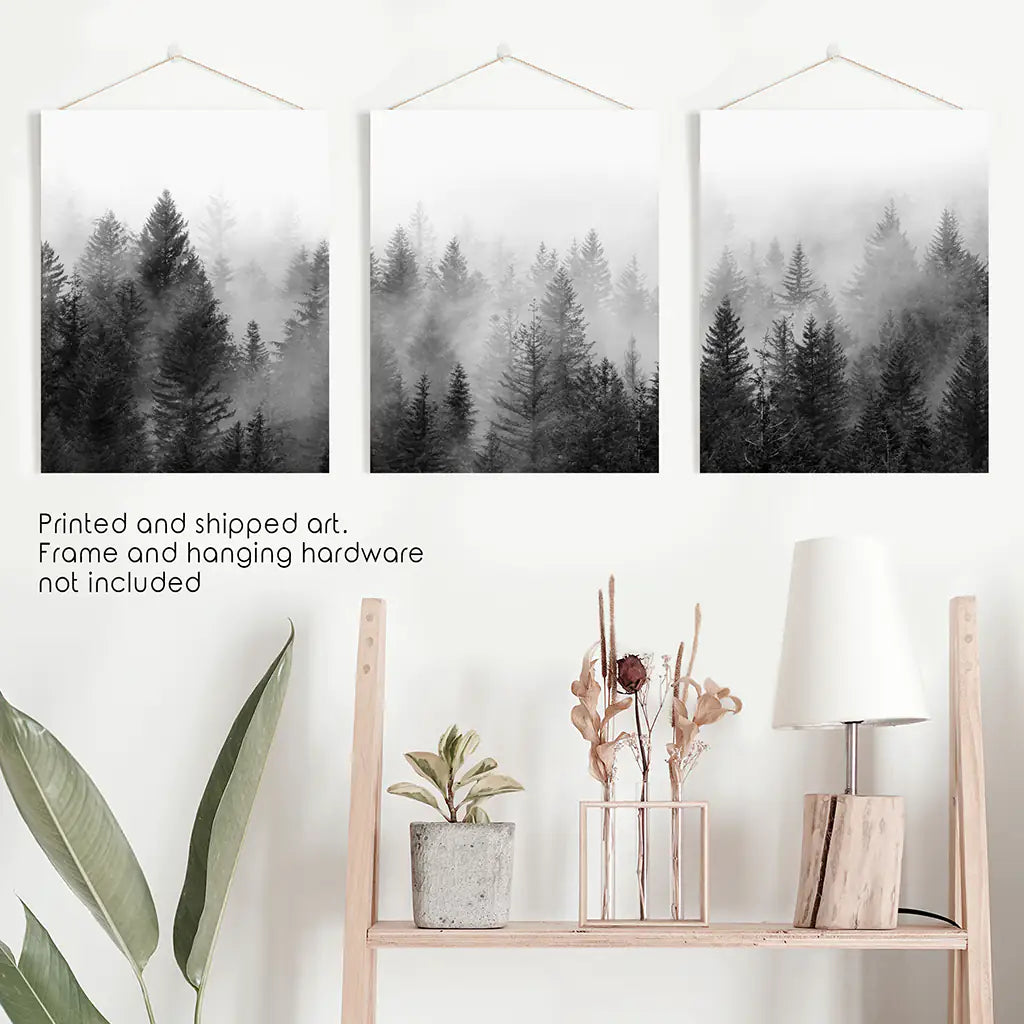 Black and White Foggy Pine Tree Forest Triptych. Set of 3 Unframed Prints
