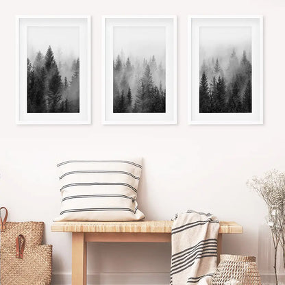 Black and White Foggy Pine Tree Forest Triptych. Set of 3 White Frames with Mat
