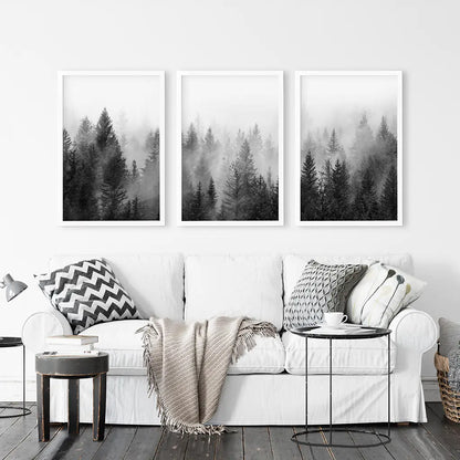 Black and White Foggy Pine Tree Forest Triptych. Set of 3 White Frames