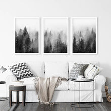 Load image into Gallery viewer, Black and White Foggy Pine Tree Forest Triptych. Set of 3 White Frames
