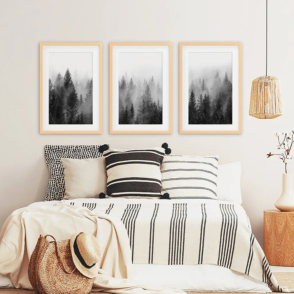 Black and White Foggy Pine Tree Forest Triptych. Set of 3 White Frames with Mat