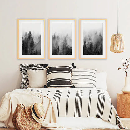 Black and White Foggy Pine Tree Forest Triptych. Set of 3 White Frames with Mat