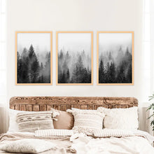 Load image into Gallery viewer, Black and White Foggy Pine Tree Forest Triptych. Set of 3 Wood Frames
