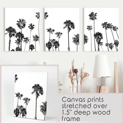 Black White Palm Trees Triptych