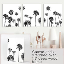 Load image into Gallery viewer, Black White Palm Trees Triptych
