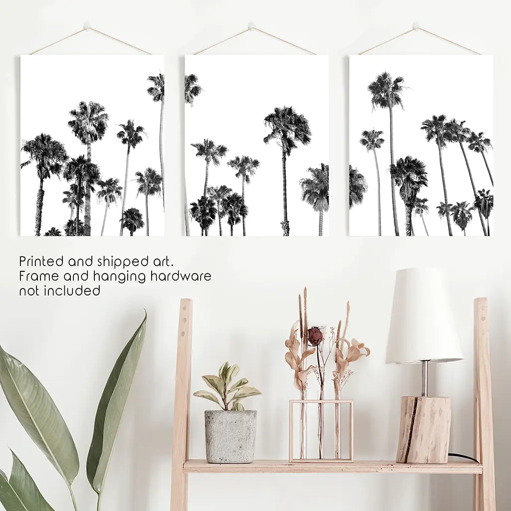 Black White Palm Trees Triptych