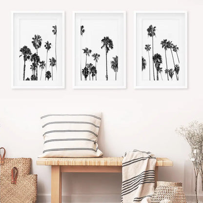 Black White Palm Trees Triptych