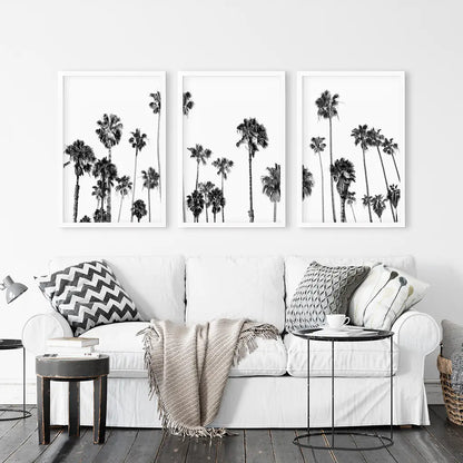 Black White Palm Trees Triptych