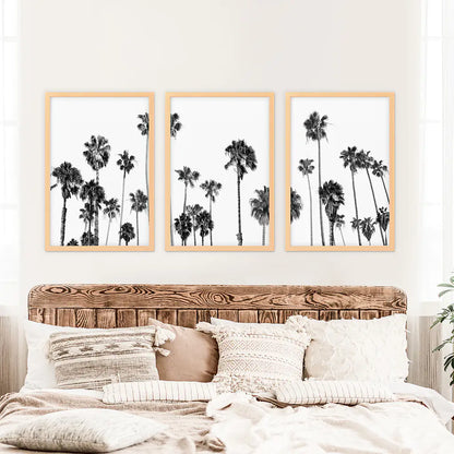 Black White Palm Trees Triptych