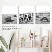 Load image into Gallery viewer, Black White Country Style Wall Art. Set of 3 - Cows, Barn, Haystacks. Unframed Prints
