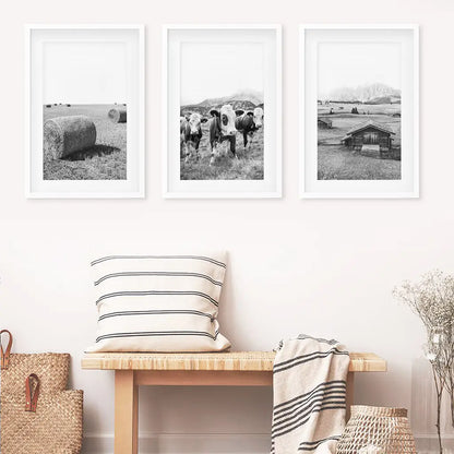 Black White Country Style Wall Art. Set of 3 - Cows, Barn, Haystacks. White Frames with Mat