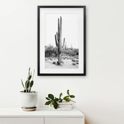 Black White Saguaro Cactus Poster. Arizona Desert Nature. Black Frame with Mat