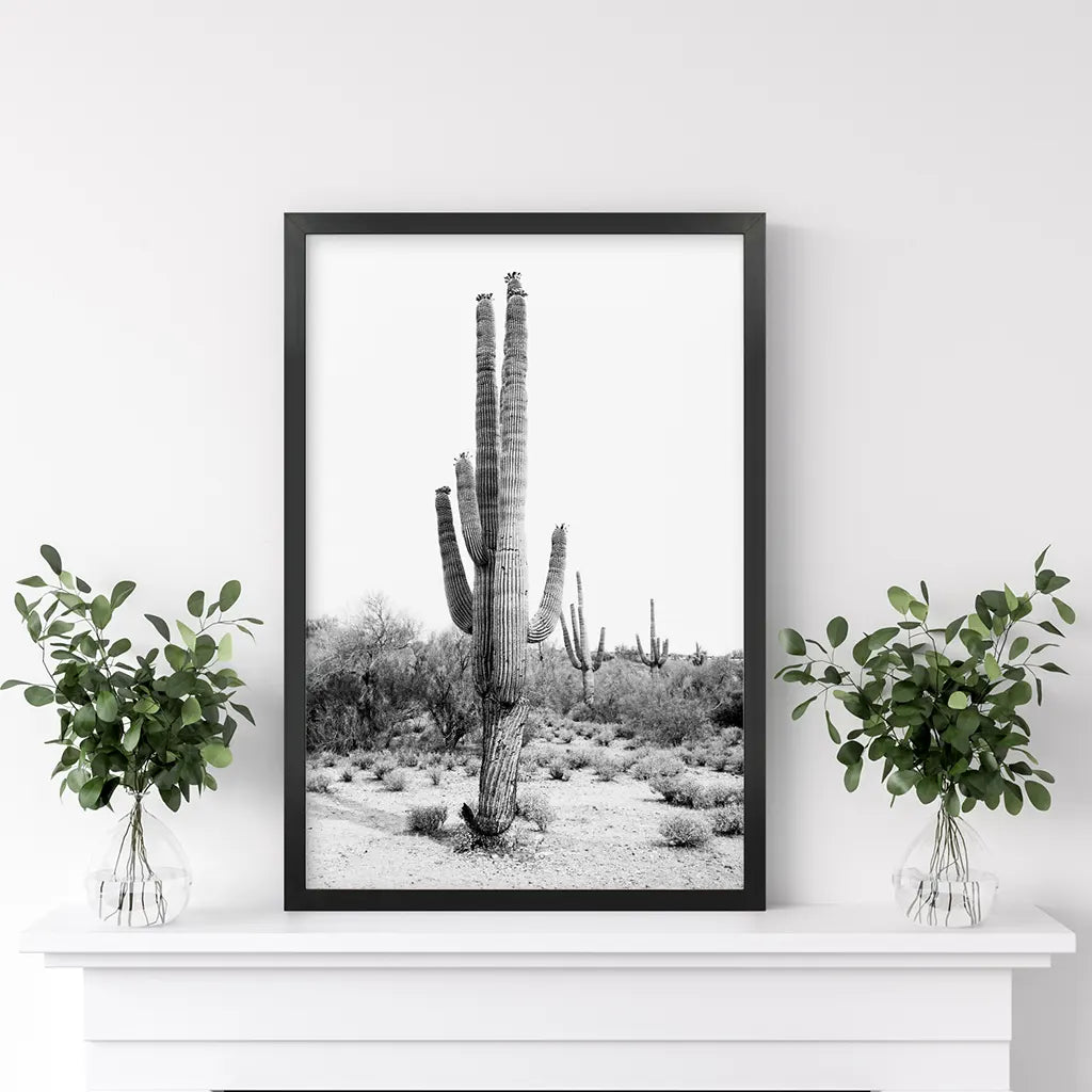 Black White Saguaro Cactus Poster. Arizona Desert Nature. Black Frame